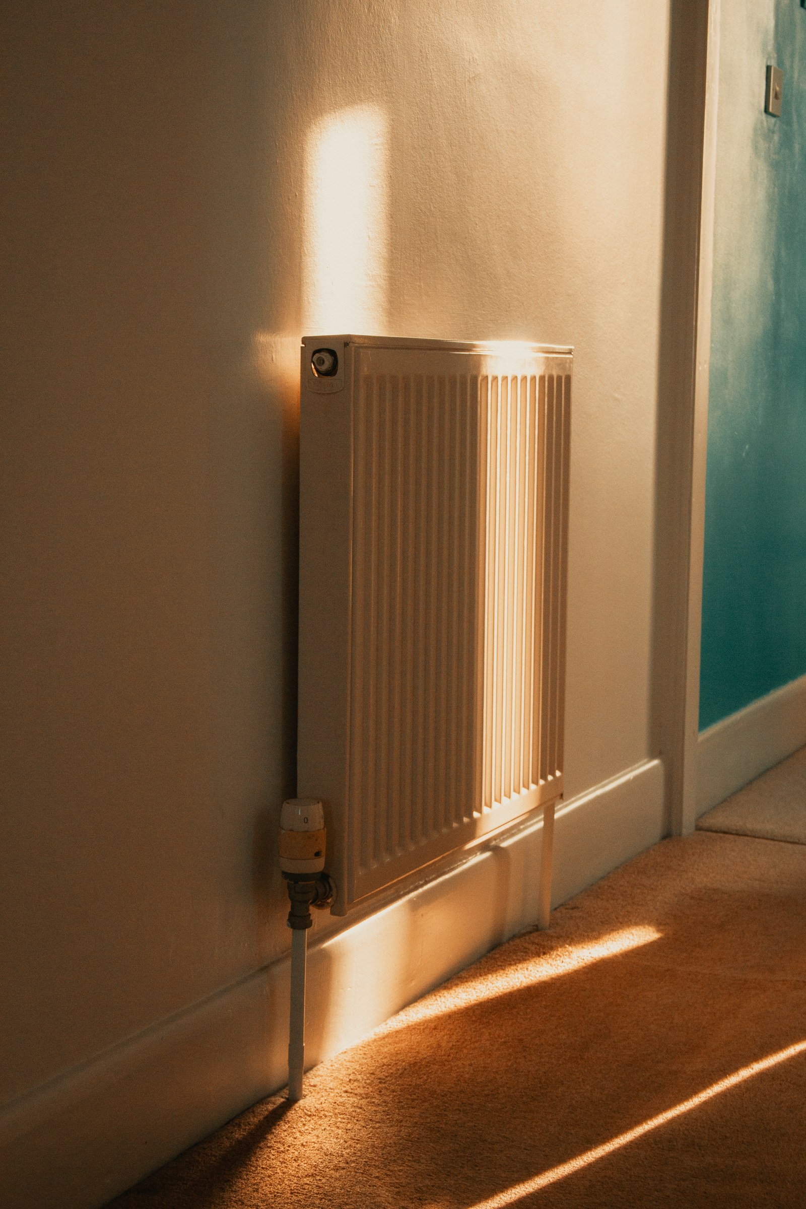 Winter home maintenance